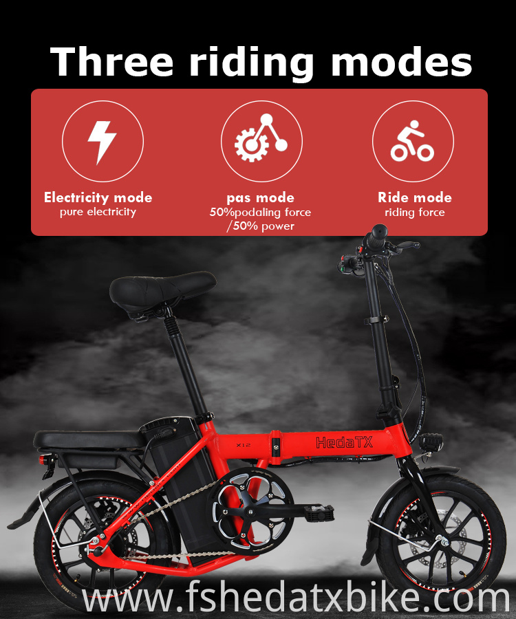 Electric Folding Bike